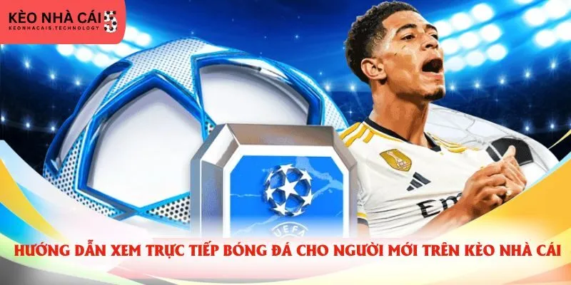 Hướng dẫn xem trực tiếp bóng đá cho người mới trên kèo nhà cái